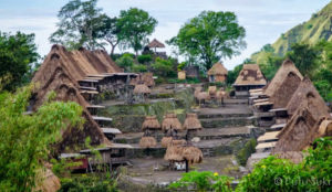 kampung-adat-bena