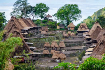 kampung-adat-bena