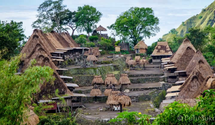 kampung-adat-bena